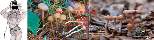 ешки Гусиноозёрск