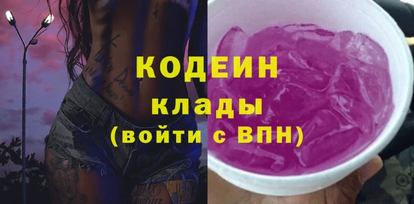 гашик Гусев