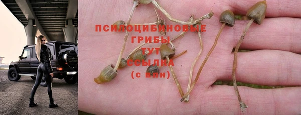 кокаин Гусь-Хрустальный
