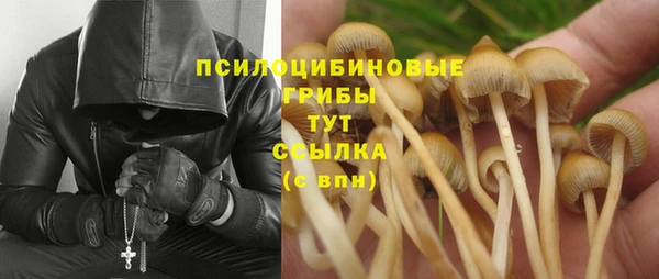 ешки Гусиноозёрск