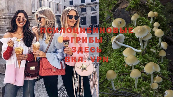ешки Гусиноозёрск
