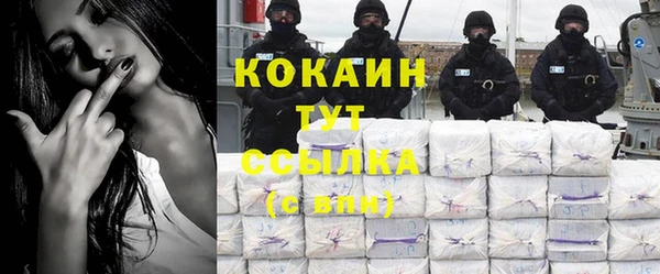гашик Гусев