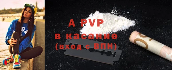 гашик Гусев