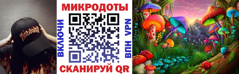 закладка Дальнегорск Галлюциногенные грибы GOLDEN TEACHER