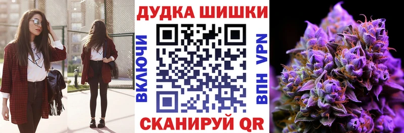 Каннабис сатива Дальнегорск